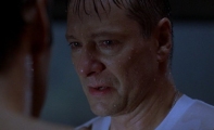 american-beauty-14