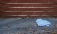 american-beauty-16