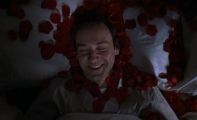 american-beauty-4