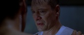 american-beauty-14