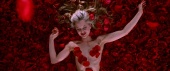 american-beauty-3