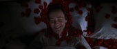 american-beauty-4