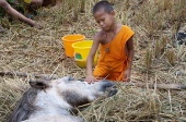 buddhas_lost_children4.jpg