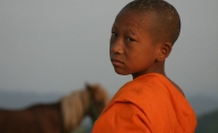 buddhas_lost_children1.jpg